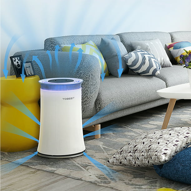 Purificador de aire para dormitorio, oficina, filtro [True Hepa] Filtro de  confort silencioso, ruido blanco, limpiador de aire inteligente para