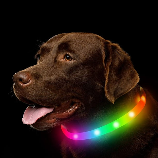Luz de collar de perro que cambia de color para perros paquete de 2 luces  para perro para caminar por la noche 3 modos de luz recargable para perro –  Yaxa Guatemala
