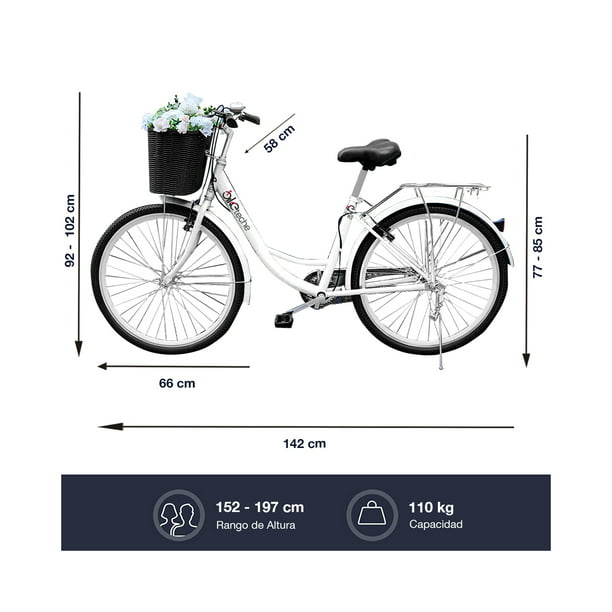Accesorios Bicicletas Carrefour 2024