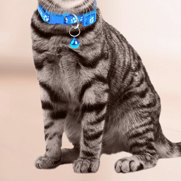 Collar ajustable para mascotas perro gato correa ajustable para