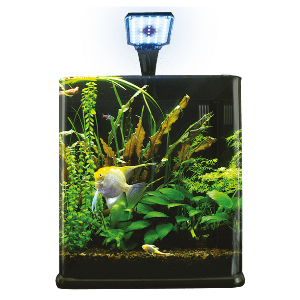 nano-aquarium-10-litres-blanc