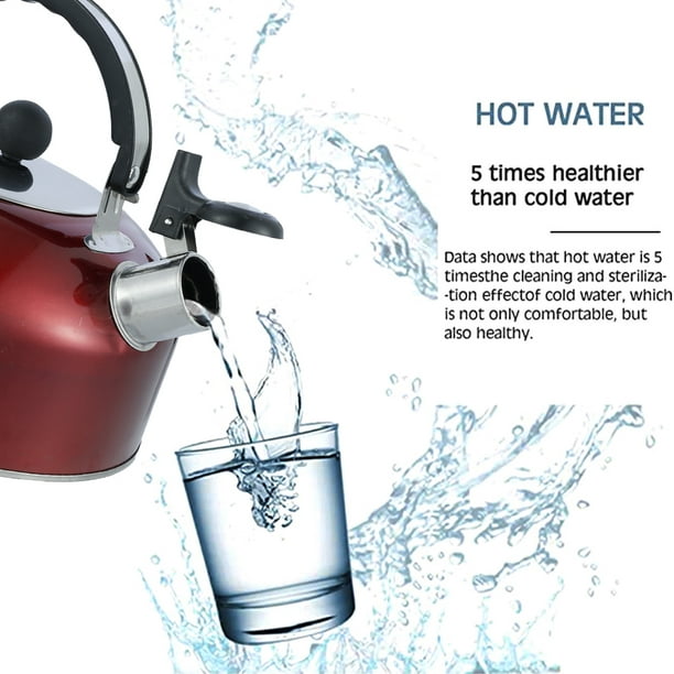 Tetera para hervir agua de 2.5 litros - Cozy Houses