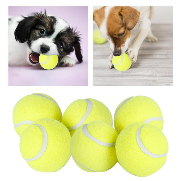 Pacific Pups Products - Pelotas para perros, paquete de 6 unidades,  juguetes para perros pequeños, pelotas de tenis para perros, pelotas  chirriantes