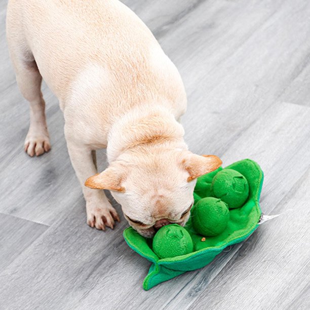 Juguetes para perros, limpieza interactiva, chirriadores de , juguete con  sonido, de entrenamiento Gloria Juguetes chirriantes para cachorros