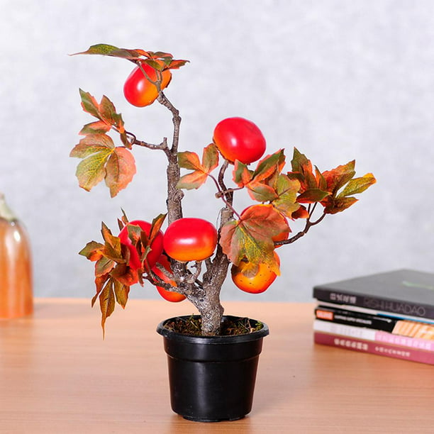 15 ideas de Bonsai artificial  bonsai, árboles bonsai, plantas bonsai