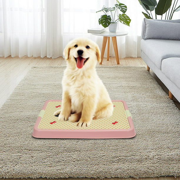 Inodoro para entrenamiento de mascotas, inodoro para perros, mantiene las  patas y los pisos limpios, Yinane Bandeja sanitaria
