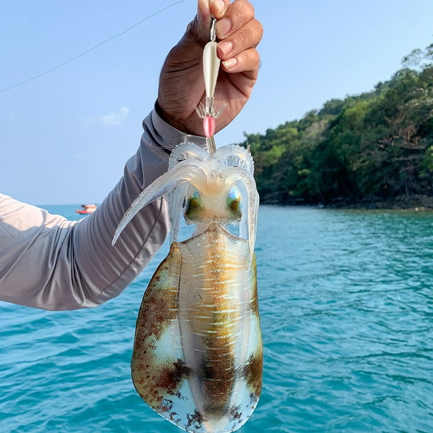 Transparente profundidad Decorar Anzuelo de sepia de pesca de doble fila, anzuelo de calamar de acero al  carbono (blanco perla) Likrtyny Para Estrenar | Walmart en línea
