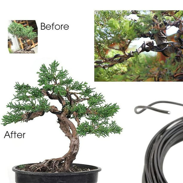 5 rollos de alambre de entrenamiento de bonsái de aluminio, 160 pies en  total con cortador de alambre de bonsái, alambre anodizado de 1/1.5/0.079  in
