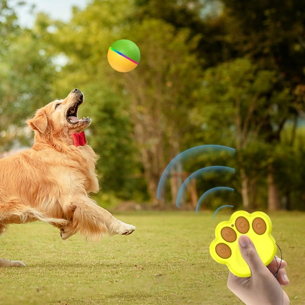 Pelota interactiva automática para perros, pelota malvada para jardín,  interior y exterior Verde amarillo Yuyangstore Bola rodante automática