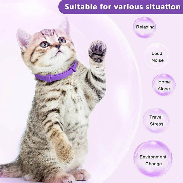 Collar Relajante Calmante Antiestres De Feromonas Para Gatos