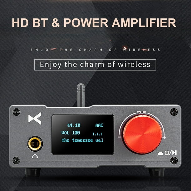 Mini amplificador digital de audio estéreo HIFI BT5.0 de 100W, receptor de  audio de Abanopi