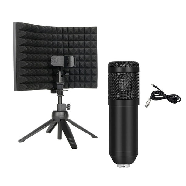 Micrófono, micrófono de grabación de audio y video Micrófono de mano de  para teléfonos Grabación de Baoblaze Micrófono inalámbrico