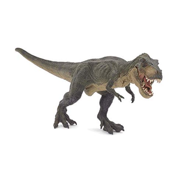  Paco Home Alfombra infantil Jurresic World T-Rex Dinosaur  Jungle en verde, tamaño: 4 pies 7 pulgadas x 6 pies 7 pulgadas : Hogar y  Cocina