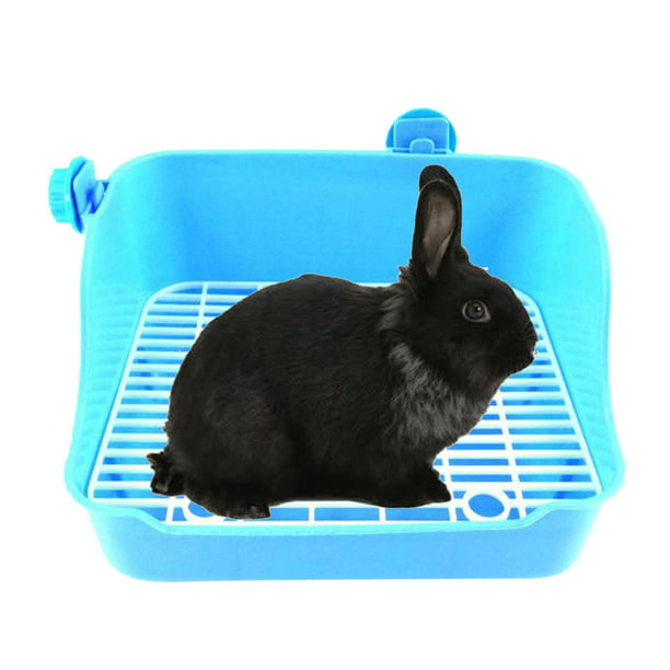 Caja de arena para conejos, para mascotas con rejilla, orinal para inodoro,  para jaula de chinchilla de conejo, azul jinwen bandeja de arena para  conejos