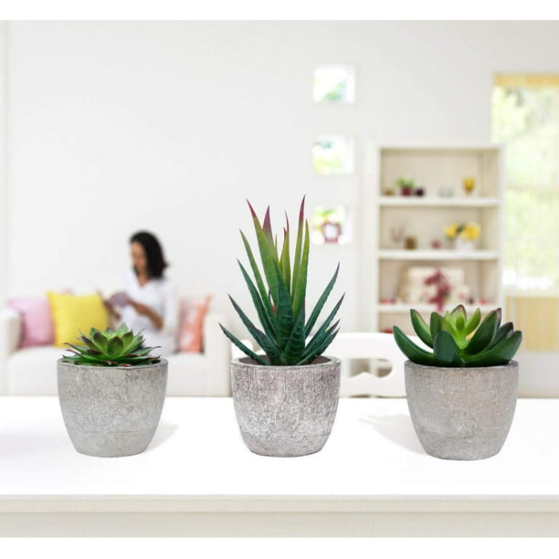 Juego de 2 plantas suculentas plantas artificiales para sala de estar -  VIRTUAL MUEBLES