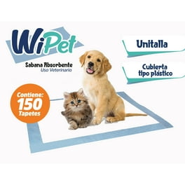 Secadora Profesional Perros Mascotas Gutstark Estetica Canina 2850w