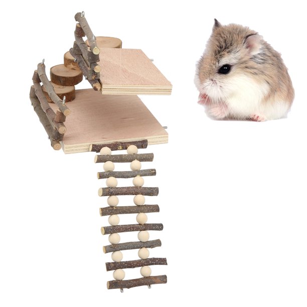 XQW Hamster Track Toys, Juego de mascotas Juguete adecuado p XQW