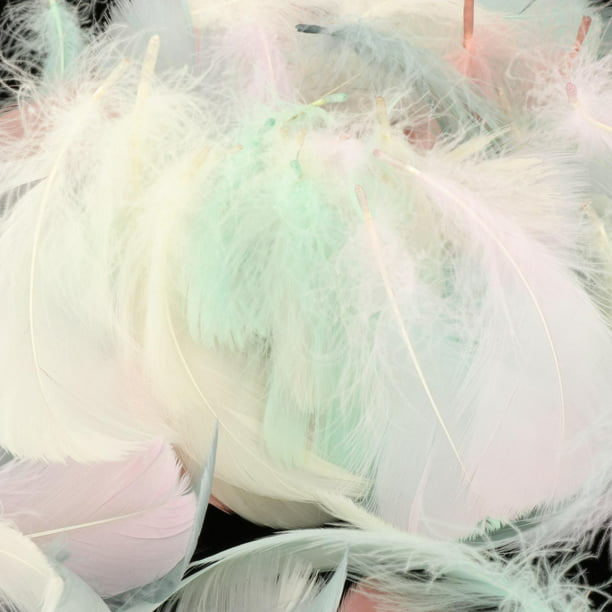 100 plumas naturales de boda para manualidades, plumas de ganso blanco para  fabricación de joyas, plumas de fiesta, decoración del hogar, pluma