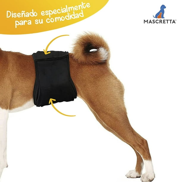 Dono Pañales desechables para perros machos, pantalones de mezclilla súper  absorbentes, suaves, para mascotas, para cachorros machos, protección