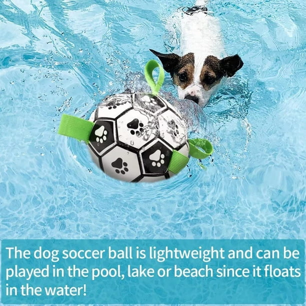 Pelota de fútbol de juguete para perros con garfio, juguete interactivo  para perros de tira y afloja Rojo Verde