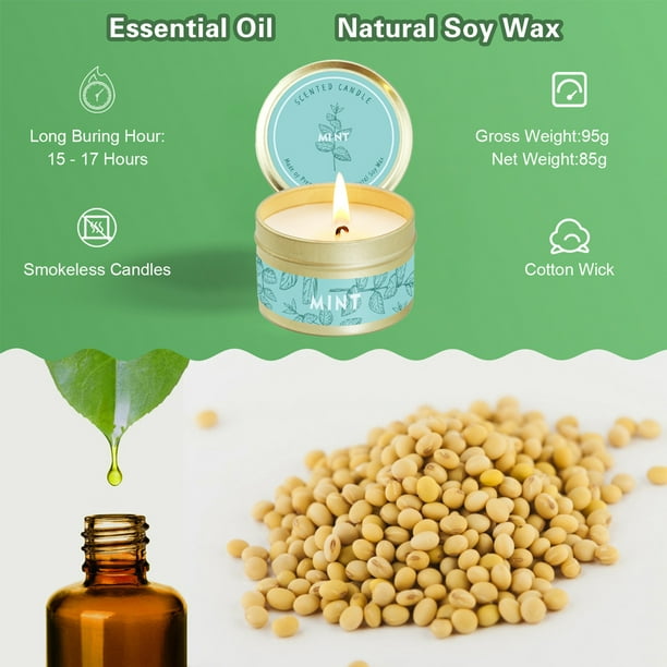  Wax and Oils - Velas de cera de soya con esencias para  aromaterapia, 8 onzas Individuales : Salud y Hogar