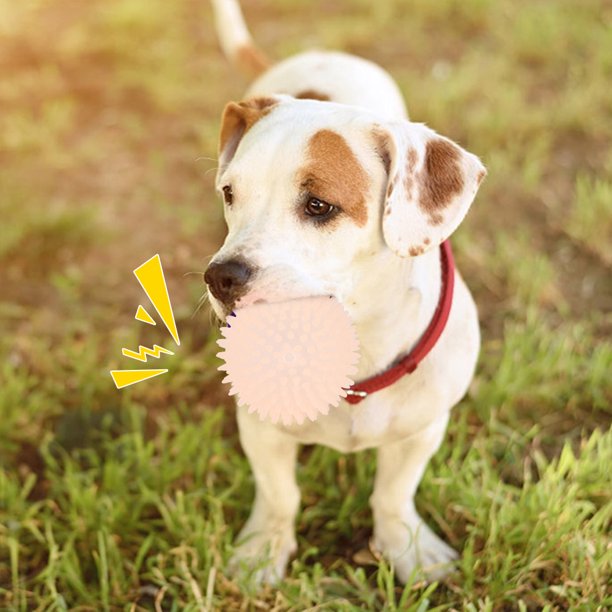 Pelota interactiva resistente a las mordeduras para perros