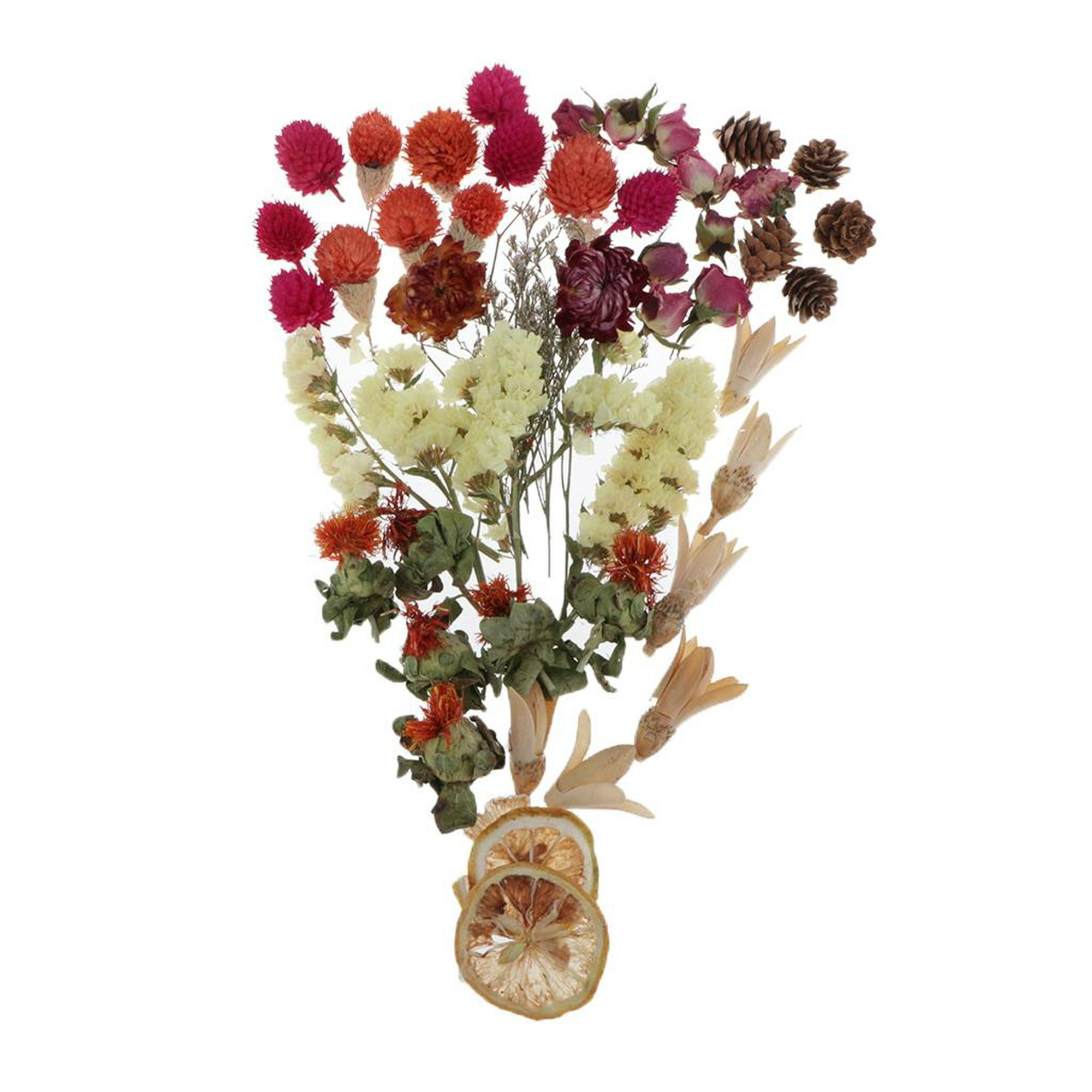 DALARAN Paquete de 3 flores secas para hacer velas, flores secas prensadas,  múltiples flores naturales prensadas, coloridas flores secas decorativas