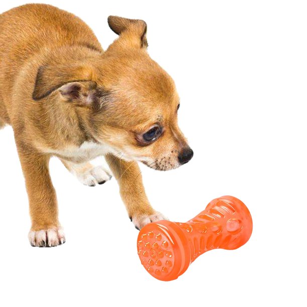 Juguetes para perros chirriantes Sonidos duraderos Juguete interactivo para  perros Juguetes para mas Salvador Masticable interactivo de animales