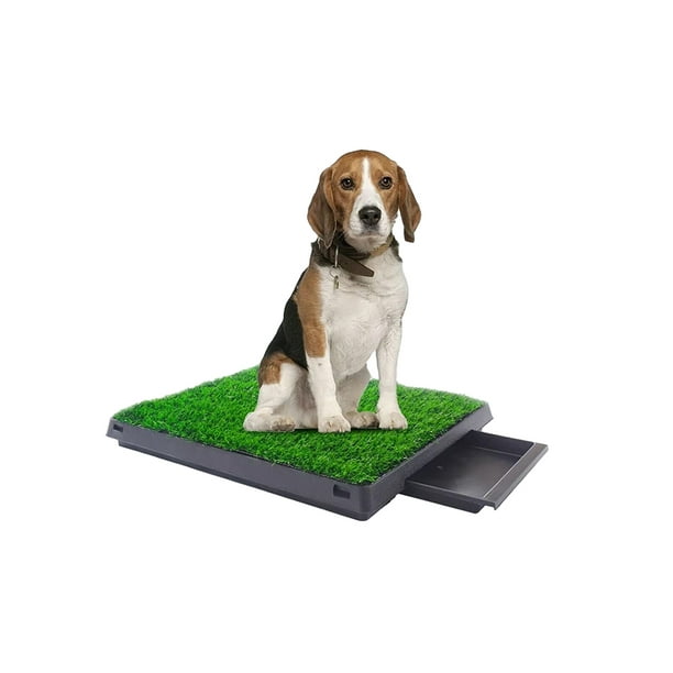 Pañal Tapete Entrenador Para Mascotas Mayoristas PetOutlet – Pet