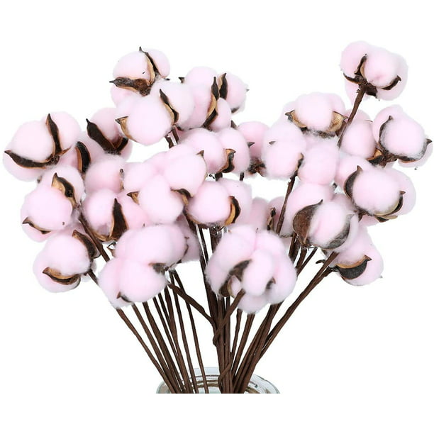 30 Uds. De tallos de algodón, flores secas decorativas, relleno de corona,  púas de algodón Natural Ofspeizc LRWJ095-3