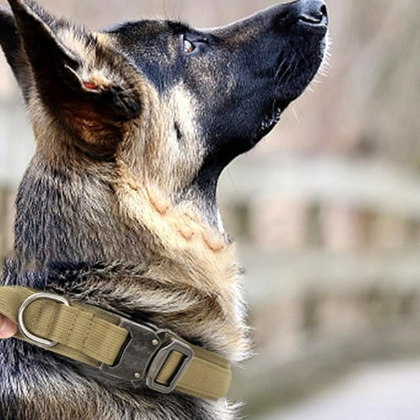 Collar de protección para perros Nylon ajustable Cómodo Accesorios para m:  36-48 jinwen Collar de perro