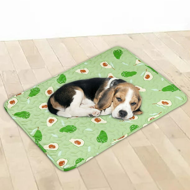 La vida con niños y mascotas es compatible con nuestras alfombras lavables!