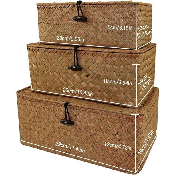 Cesta de almacenamiento rectangular de ratán, 2 cubos de mimbre tejidos con  forro de tapa, caja de estante de pastos marinos, organizador de