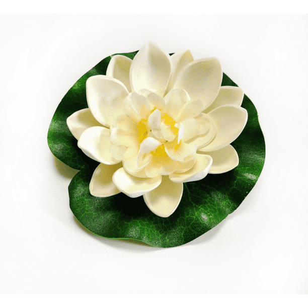 Flor de loto Nenufar - Comprar en Aqua Bahia
