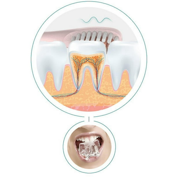 cepillos dientes, kit cepillo dientes viaje plegable con estuche, cepillos  dientes cerdas suaves para limpieza dientes desmontables, cepillos dientes