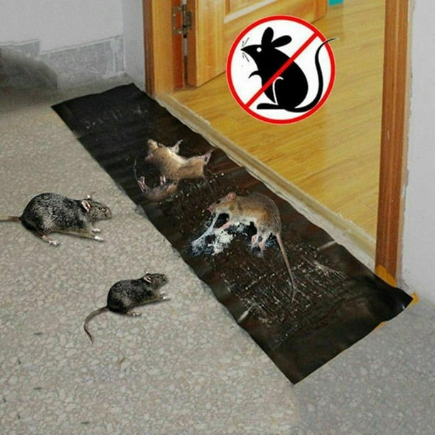 Trampas Pegaton de Pegamento para Ratas y Ratones Tamaño Grande, 2 pzas.