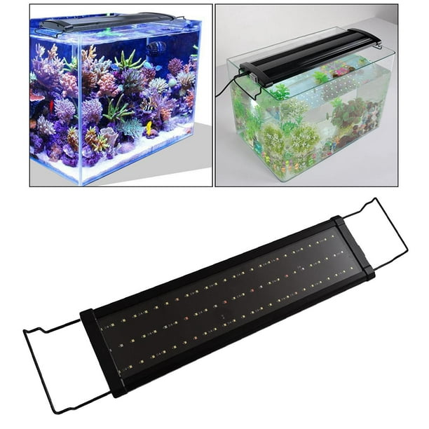 Iluminación de plantas de luz LED para acuarios para s de agua dulce con  soporte extensible Los 30cm Colco luz de acuario