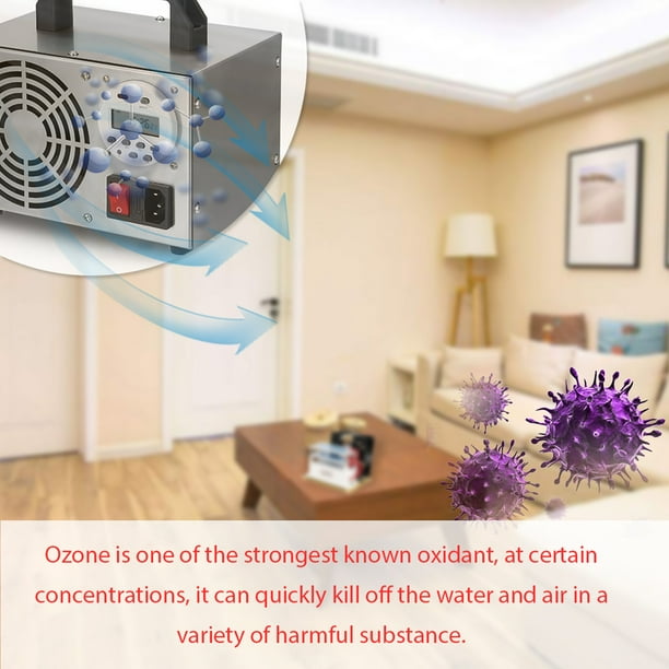 Generador de ozono, purificador de aire de ozono para el hogar, aire de  acero inoxidable