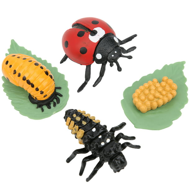 Figuras de Juguete de simulación de Insectos para niños y niñas, Insectos  de Juguete Decorativos Araña Mariquita Libélula para favores de Fiesta en  el Aula XianweiShao 8390615119153