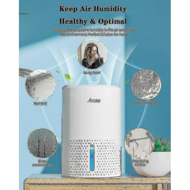 Deshumidificador para el hogar, secador de aire, absorbente de