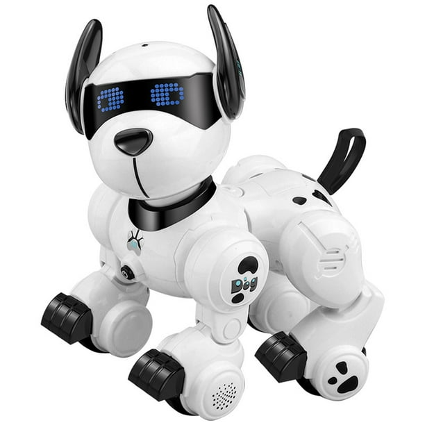 Perro Robot – El Diario del Centro del País