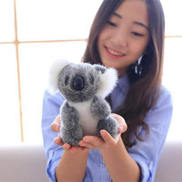 Queekay Lindo Koala de peluche creativo de 13.8 pulgadas, peluche de oso de  koala suave, peluche de oso de koala, juguete de peluche inteligente para