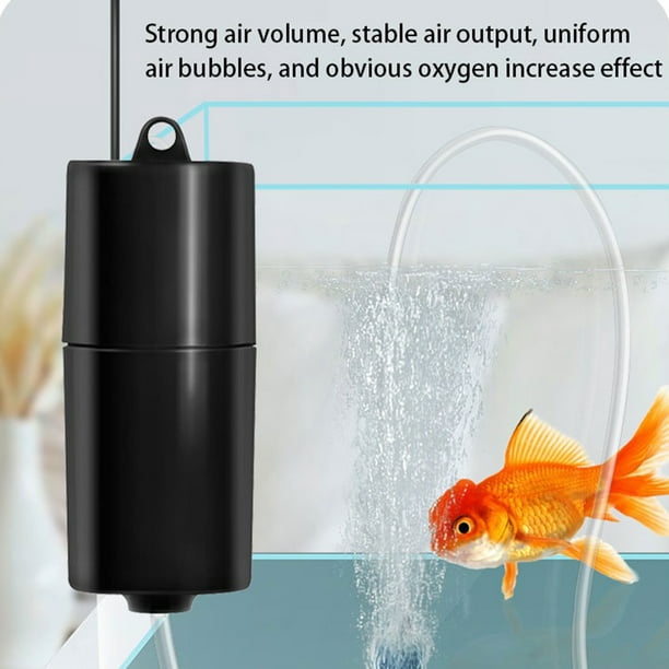 Fácil de comprender Aventurarse laringe Bomba de aire de oxígeno para peces USB Bomba de oxígeno ultra silenciosa  para acuario con hebilla c liwang | Walmart en línea