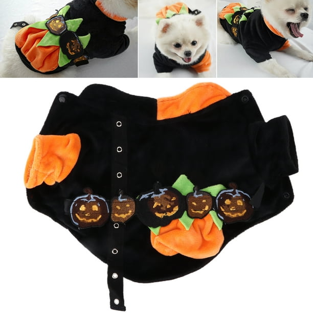 Disfraz de calabaza de Halloween para perro, ropa divertida de