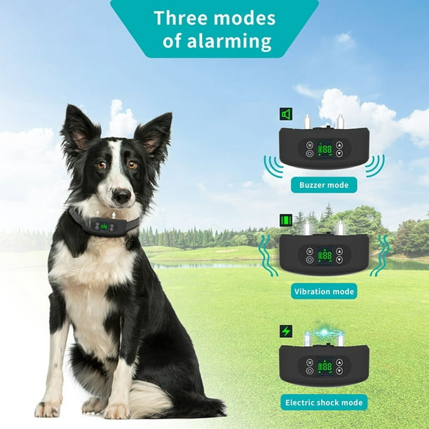 Mejor localizador GPS para perros? ¡Los 5 recomendados!