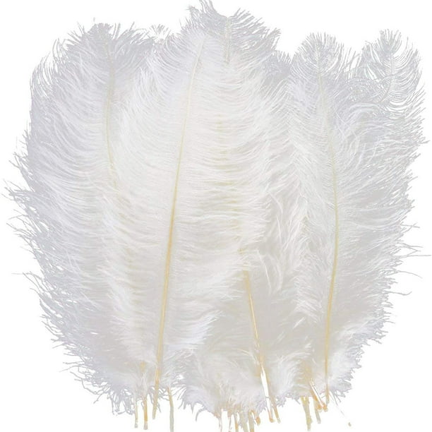 Plumas Esponjosas Decoración 10 plumas de avestruz esponjosas para fiestas  de bodas, plumas de 30 a 35 cm (blanco) Likrtyny Libre de BPA