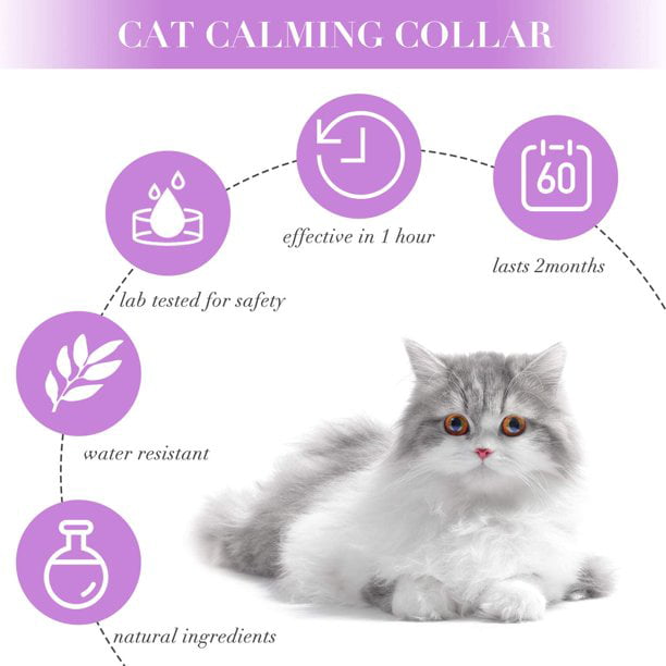 Collares calmantes para gatos Feromonas de gato ajustables Collares  calmantes que reducen la ansieda oso de fresa electrónico
