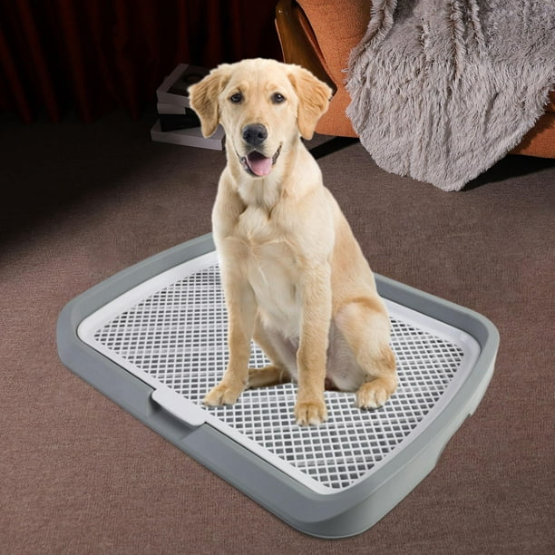 Comprar Inodoro para perros, diseño ventilado, cerca elevada, tipo cajón,  almohadillas de entrenamiento para mascotas, caja de arena para perros  pequeños y medianos, mascota encantadora