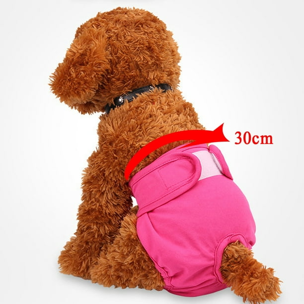 Paquete de 2 (l) pañales para perros bragas menstruales para perros pañales  menstruales para perros Rojo Verde Cocina, Decoración y Otros