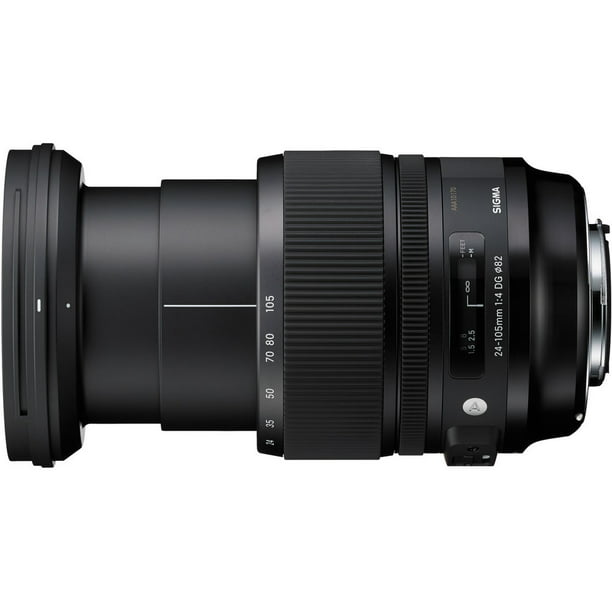 Canon EF 75-300 mm f/4-5.6 III Teleobjetivo con zoom 6473A003 + Estuche  para lentes de lujo + Kit de limpieza de lujo + Paquete de paño de  microfibra Canon 6473A003-1